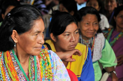 Women Reclaim Cultural Knowledge in Northwestern Amazonia - Amazon ...